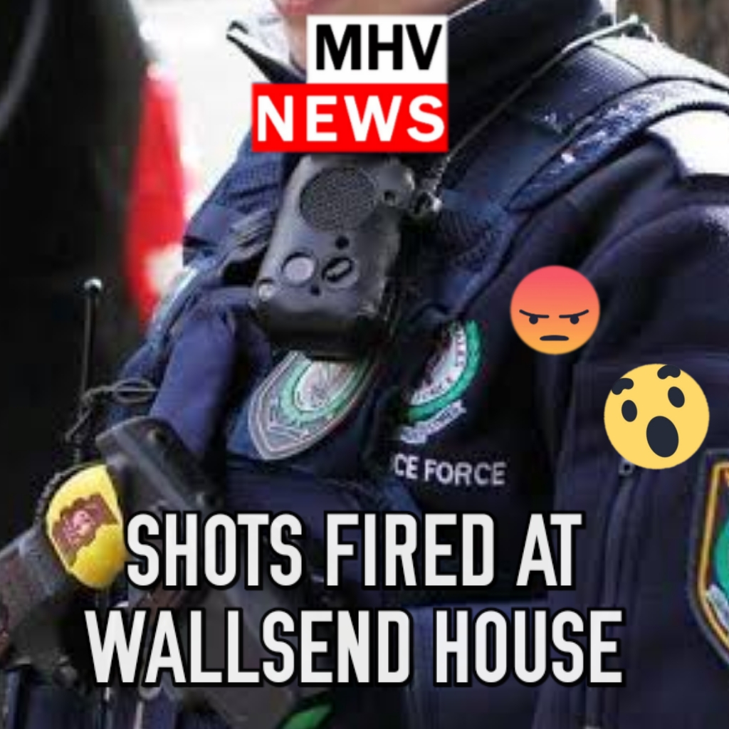 Read more about the article Wallsend house fired at