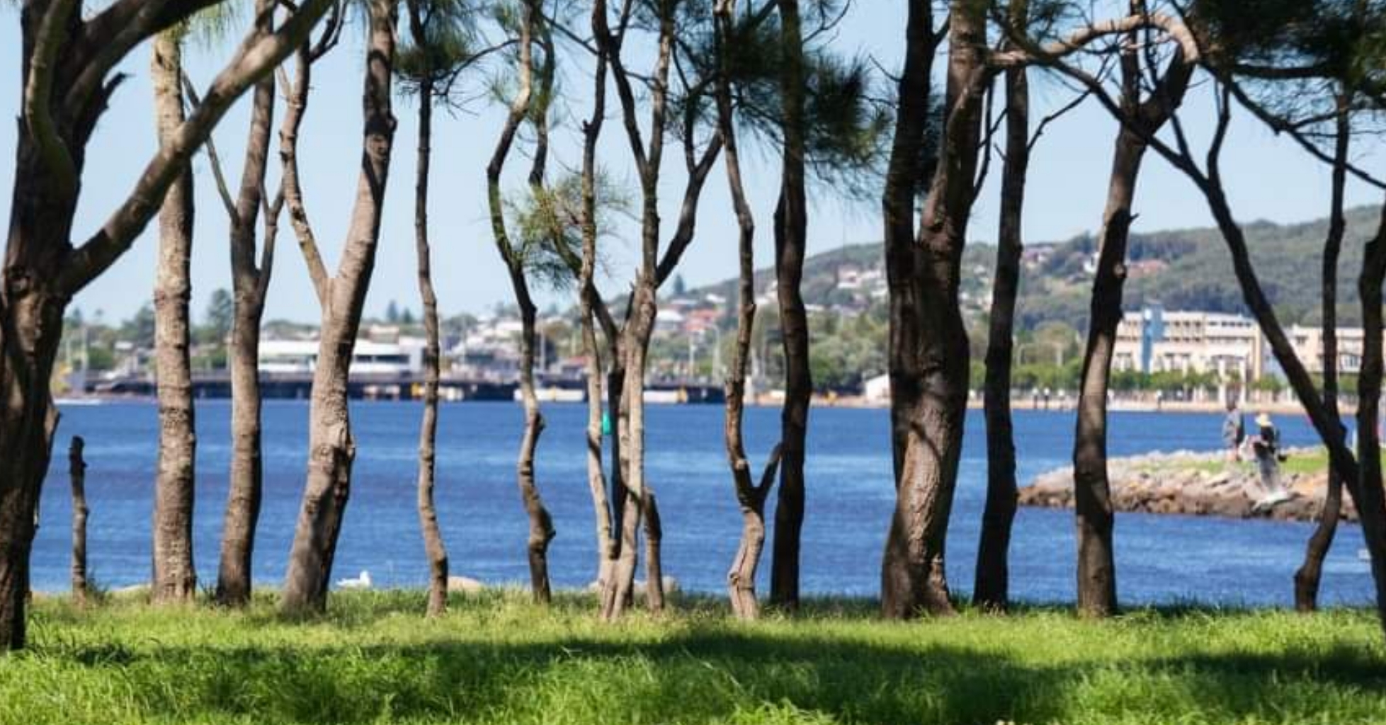 You are currently viewing Coon Island, have your say – Lake Macquarie