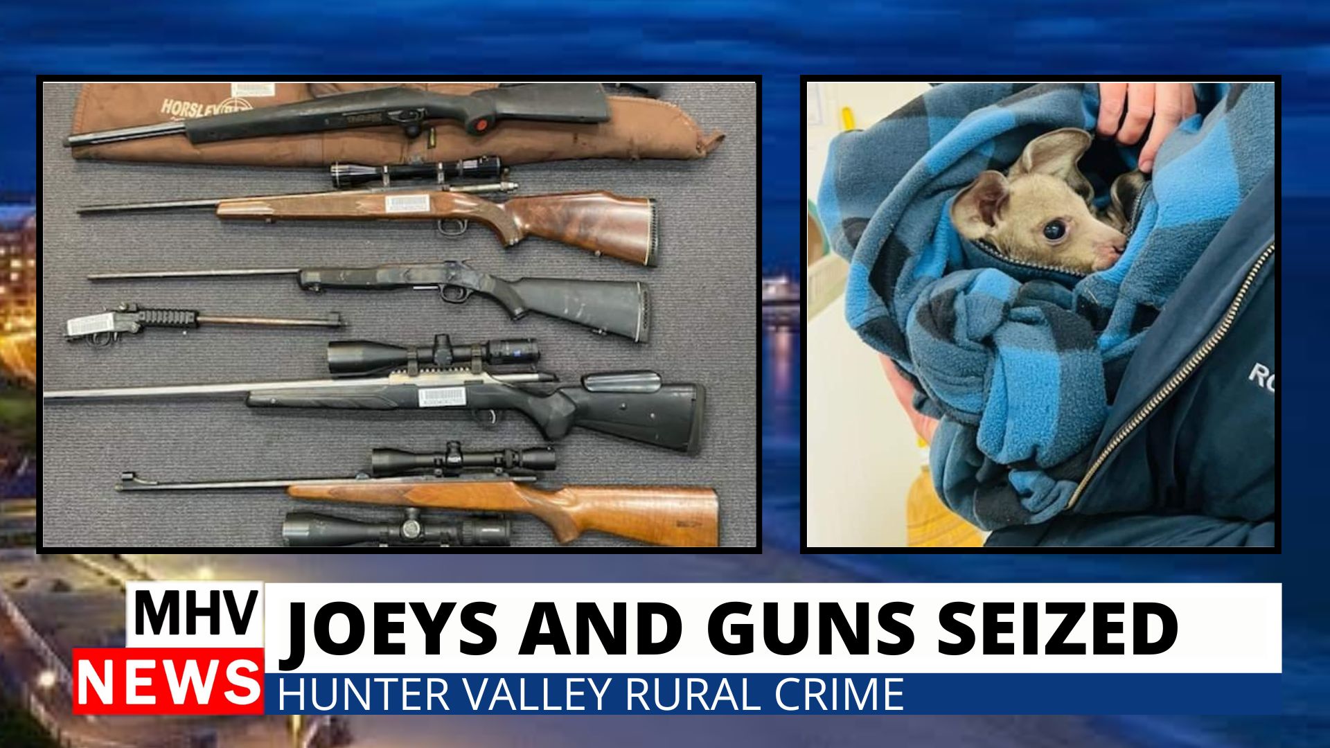 Read more about the article Joeys and firearms seized during Operation Devil Ark – Hunter Valley PD
