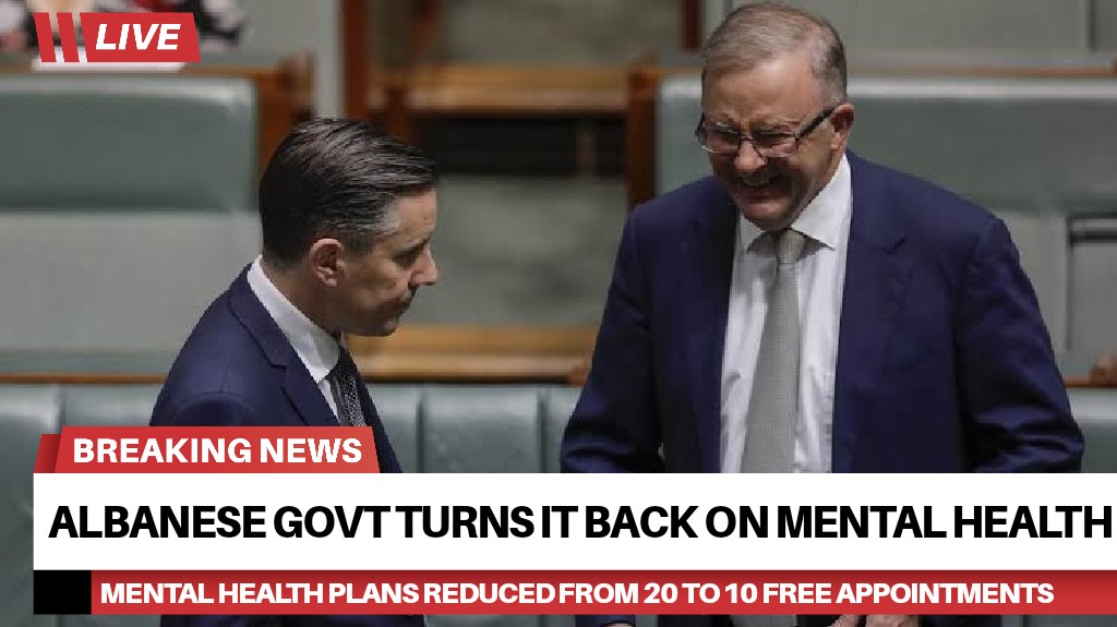 Read more about the article Anthony Albanese’s government turns it back on mental health