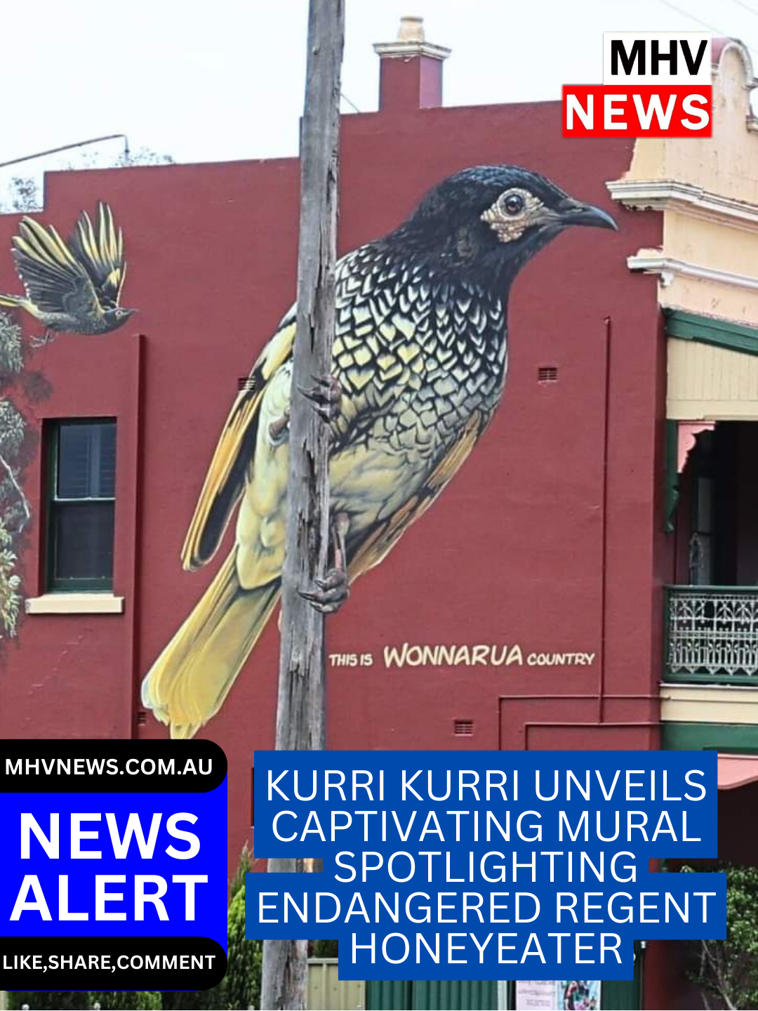 Read more about the article Kurri Kurri Unveils Captivating Mural Spotlighting Endangered Regent Honeyeater