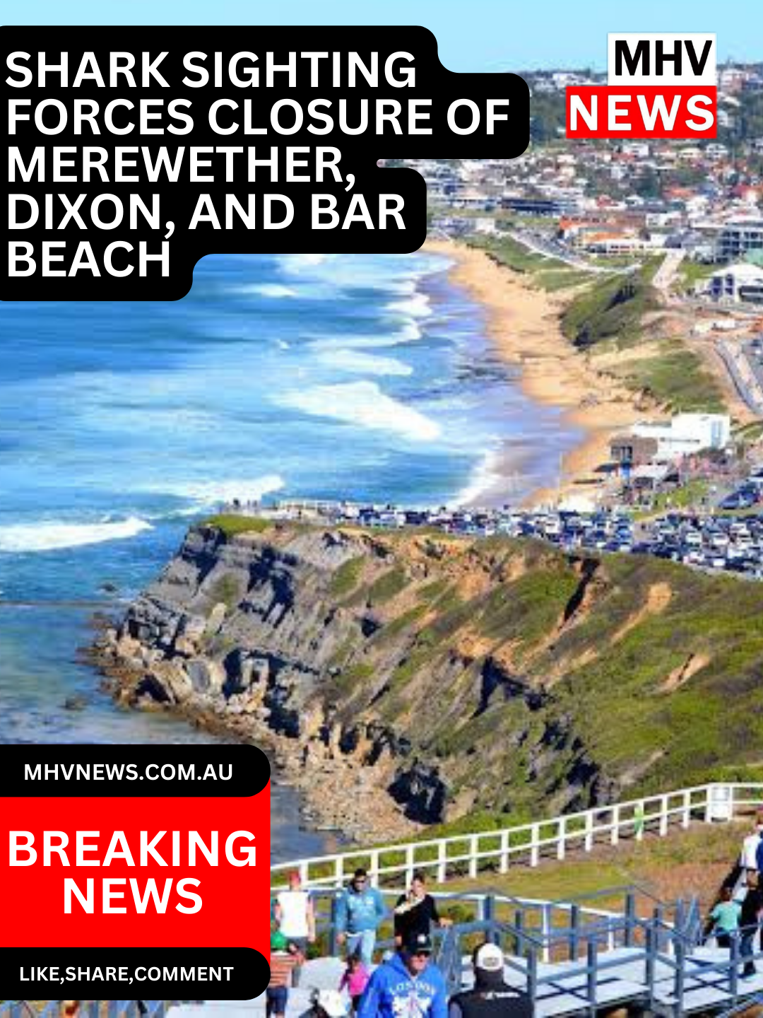 Read more about the article Breaking News: Shark Sighting Forces Closure of Merewether, Dixon, and Bar Beach