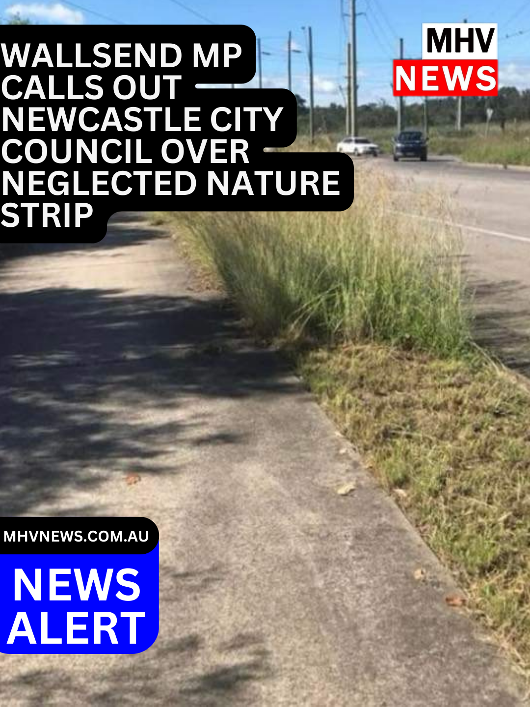 Read more about the article News Update: Wallsend MP Calls Out Newcastle City Council Over Neglected Nature Strip