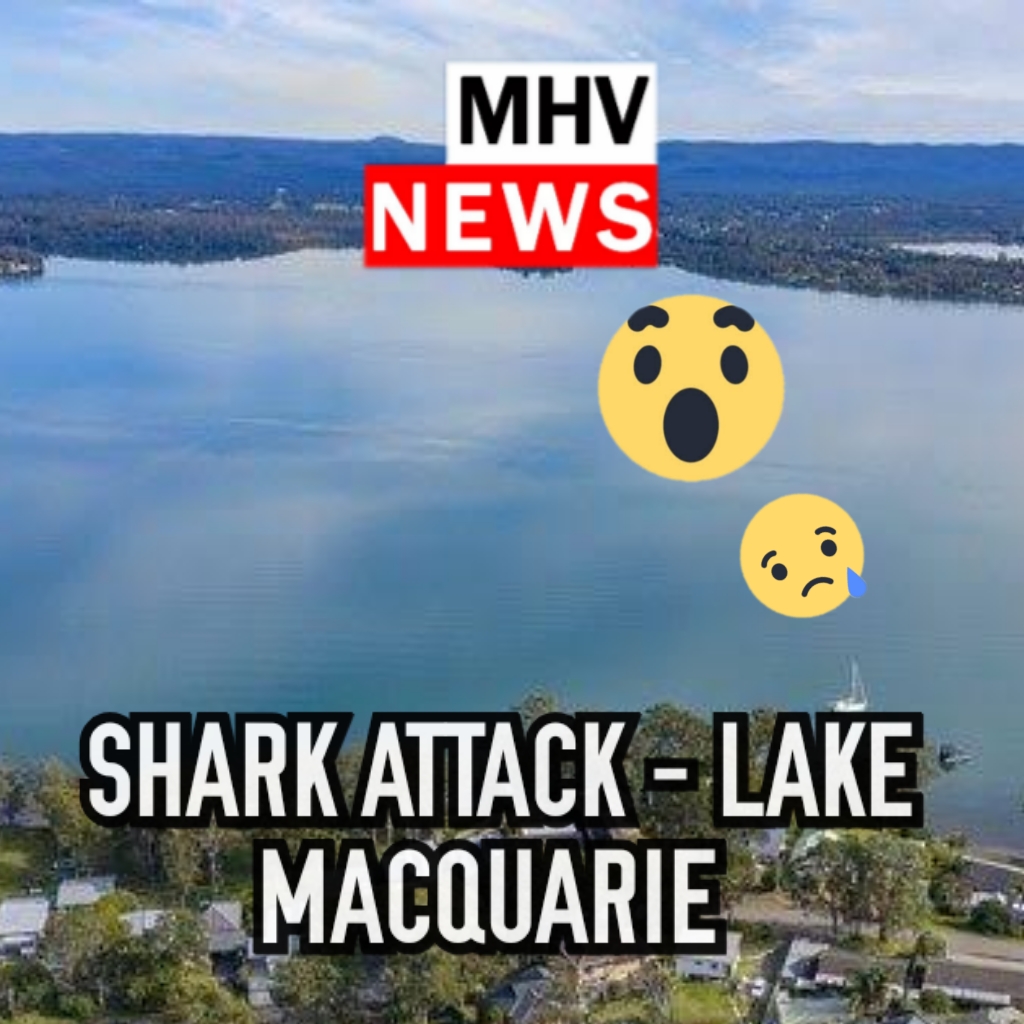 Read more about the article Shark Attack Lake Macquarie.