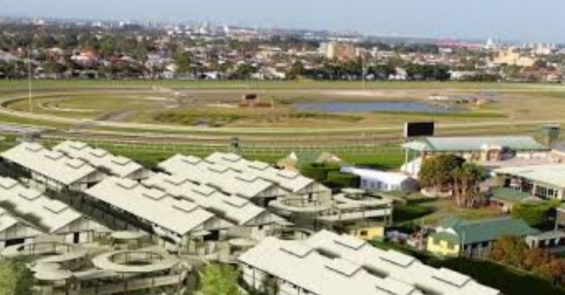 You are currently viewing TWO RACE HORSES ELECTROCUTED AT NEWCASTLE RACE COURSE.