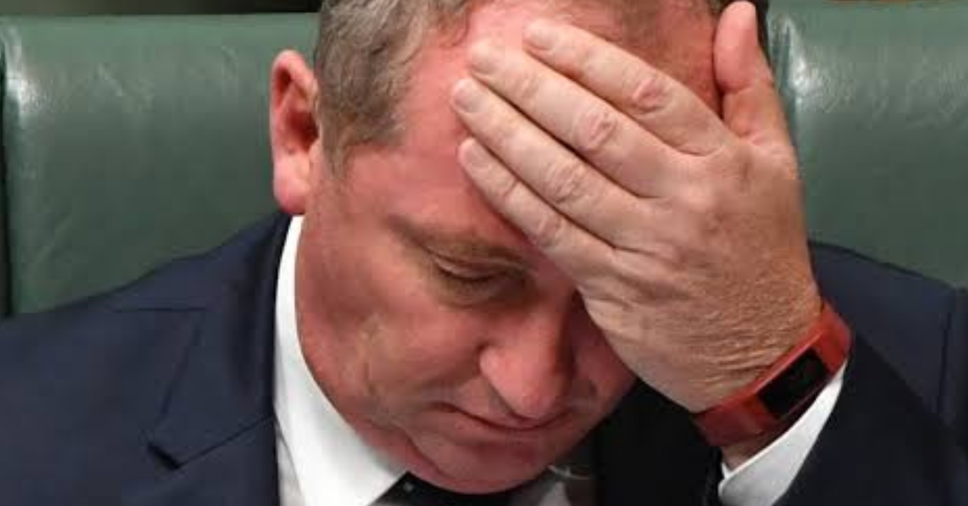 Read more about the article Deputy Prime Minister Barnaby Joyce has been fined for not wearing a mask