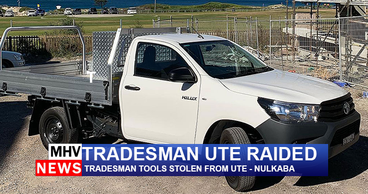 Read more about the article TRADESMAN UTE RAIDED