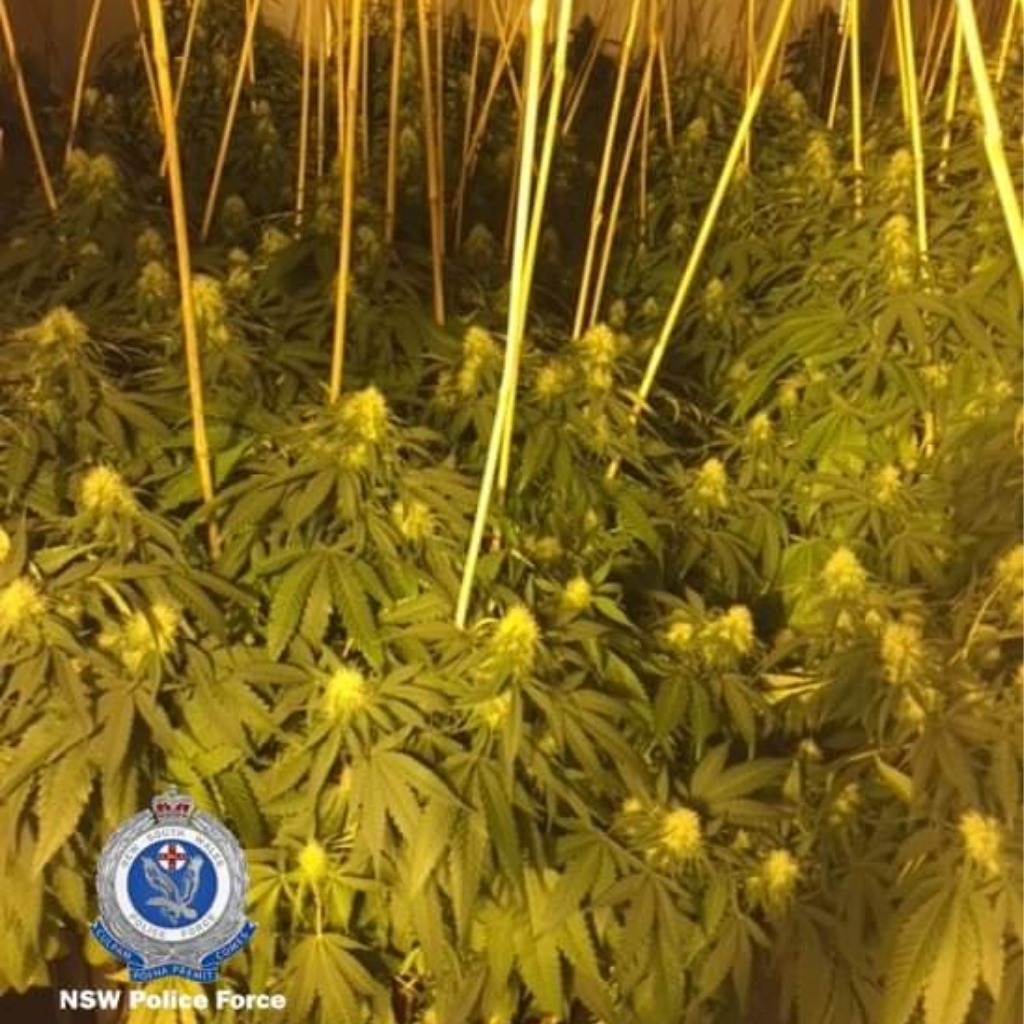Read more about the article Four Men Charged In Cessnock Drug Raids