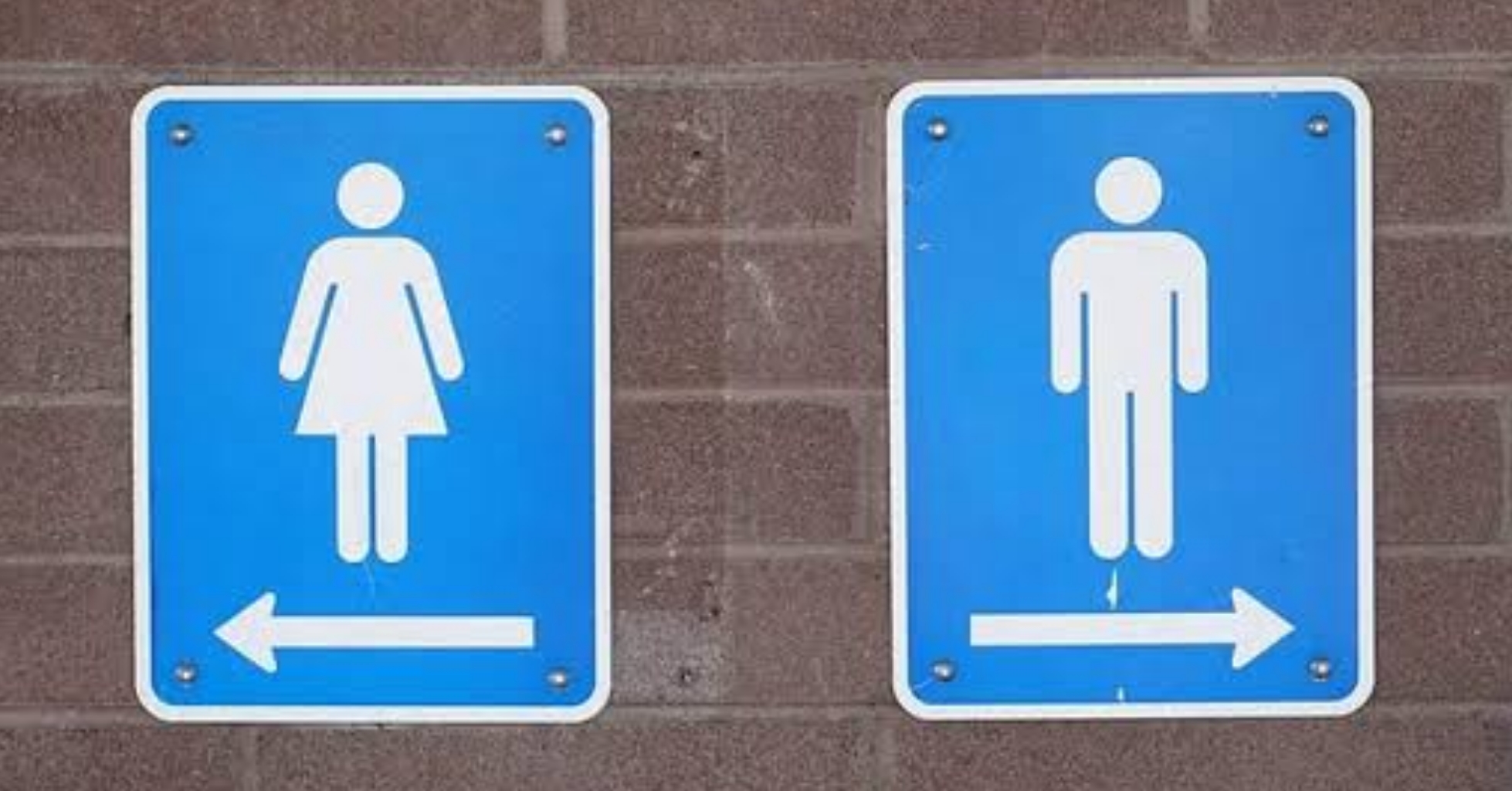 Read more about the article outrage over one council’s decision to close public toilets