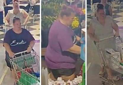 Read more about the article Lake Macquarie Police seek public’s help in identifying two women in connection with theft investigation