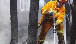 Read more about the article Bushfire in Cullys Arm near Laguna Contained by Firefighters Despite Challenging Conditions