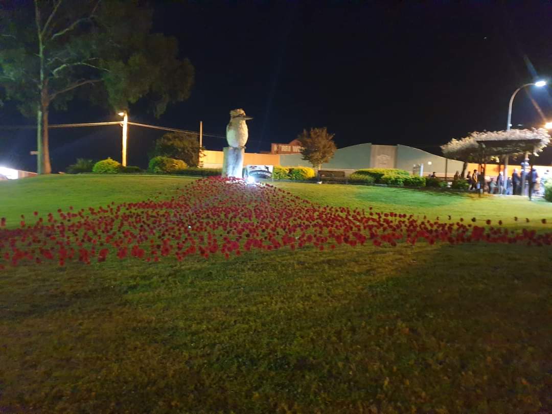Read more about the article Kurri Kurri to host moving and patriotic Field of Honour tribute on Anzac Day