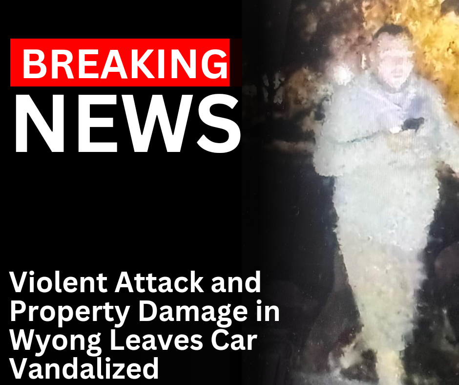 Read more about the article Violent Attack and Property Damage in Wyong Leaves Car Vandalized and Items Stolen