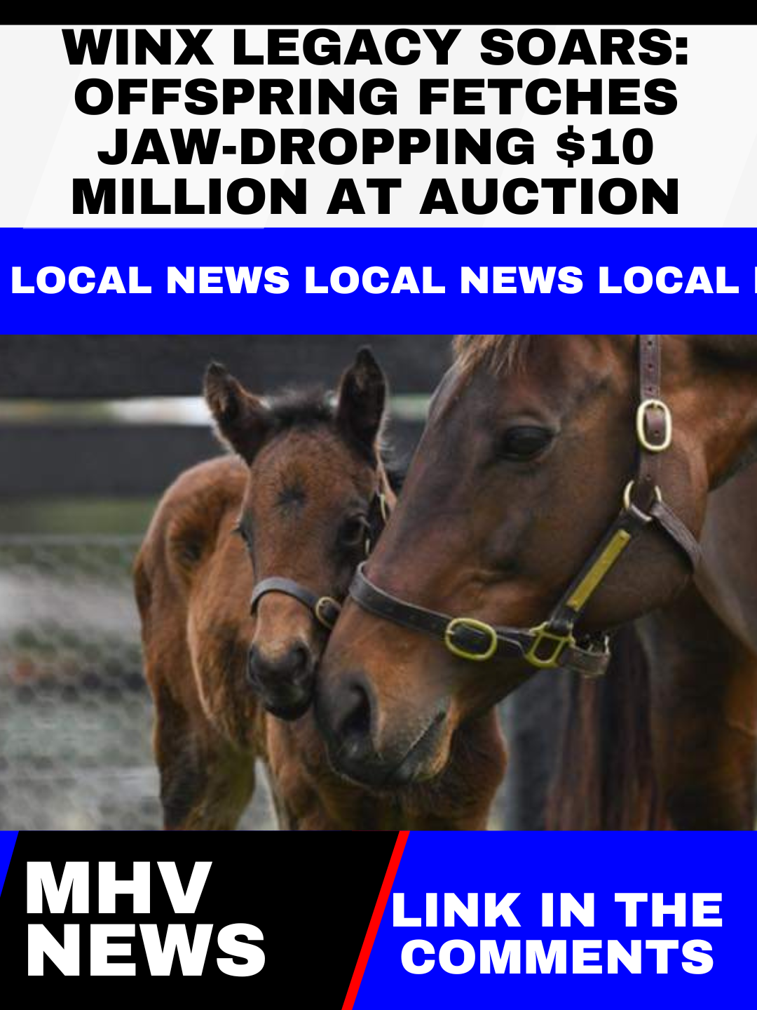 Read more about the article WINX Legacy Soars: Offspring Fetches Jaw-Dropping $10 Million at Auction