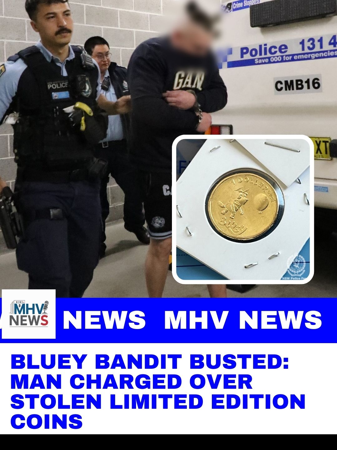Bluey Bandit Busted: Man Charged Over Stolen Limited Edition Coins